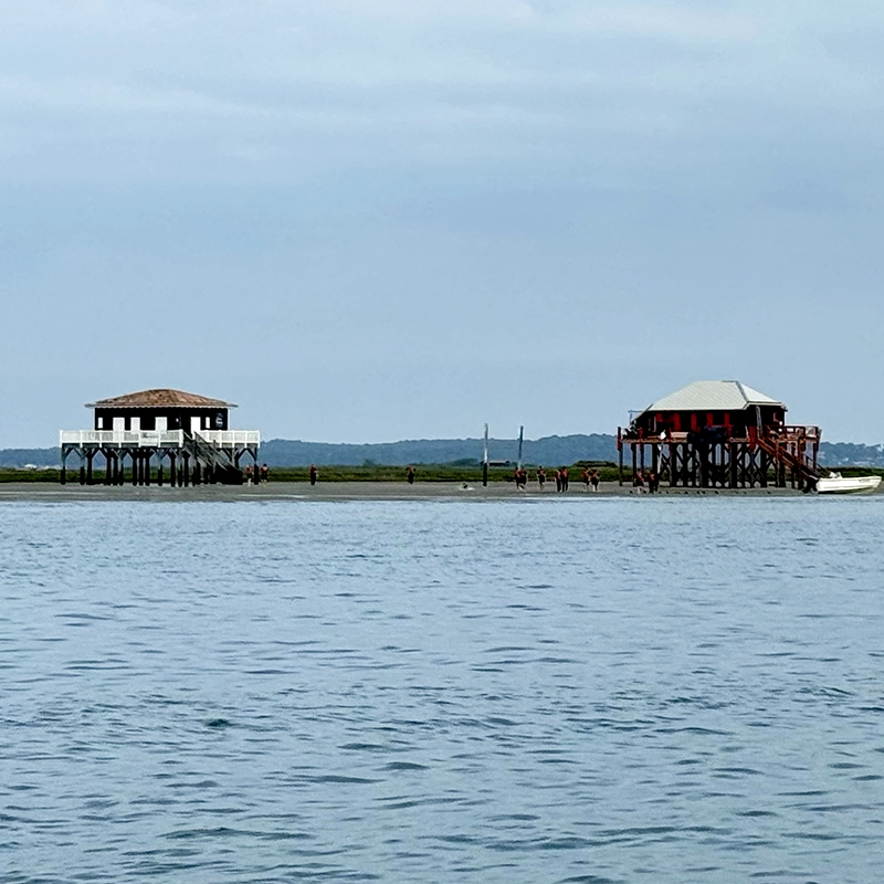 Organisation de séminaires sur le Bassin d'Arcachon