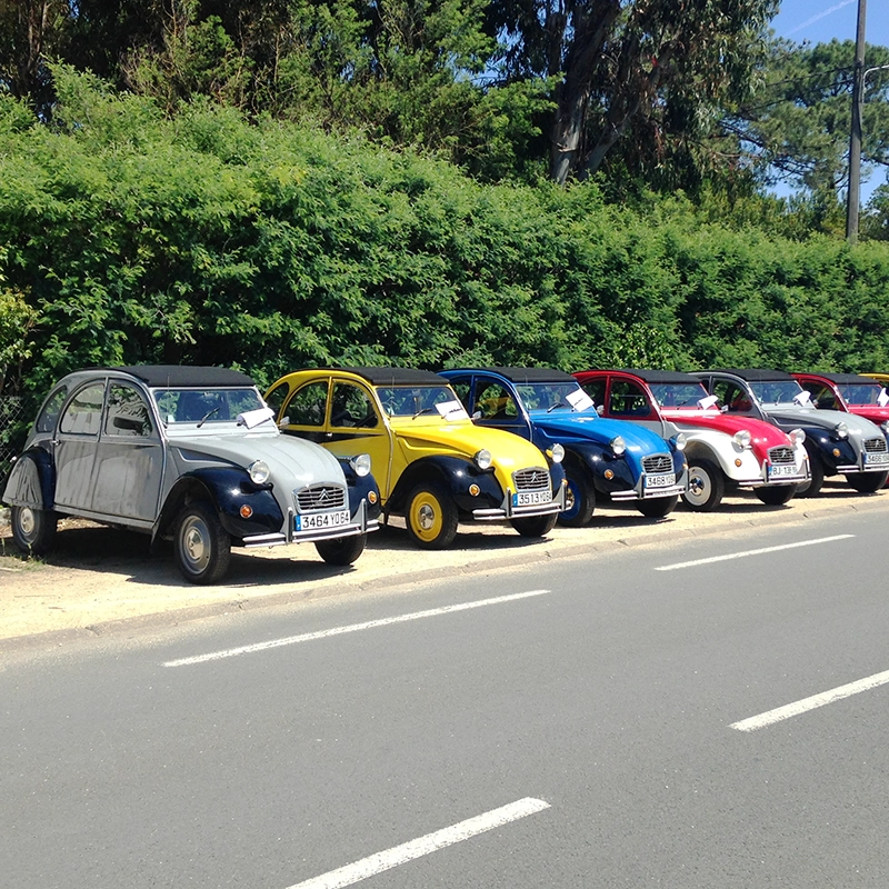 Teambuiliding Rallye 2CV au Bassin d'Arcahcon - Cap Ferret