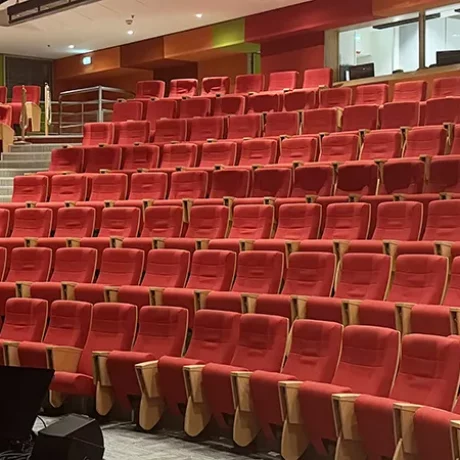 Plénière pour congrès médical ou séminaire - Événement Bordeaux